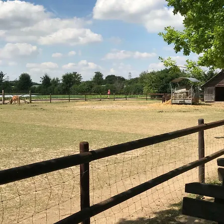 Guest house Apartotel Koeln 3*