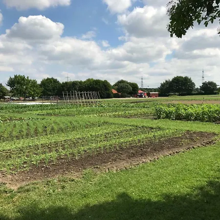 Apartotel Koeln Guest house 3*