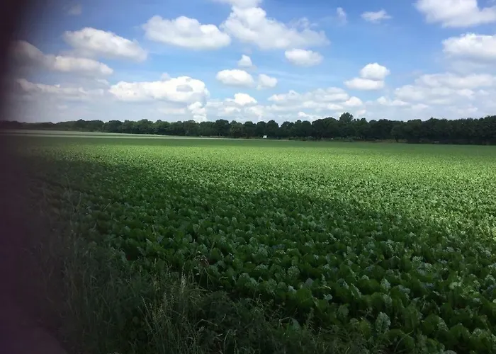 招待所 Apartotel Koeln 3*