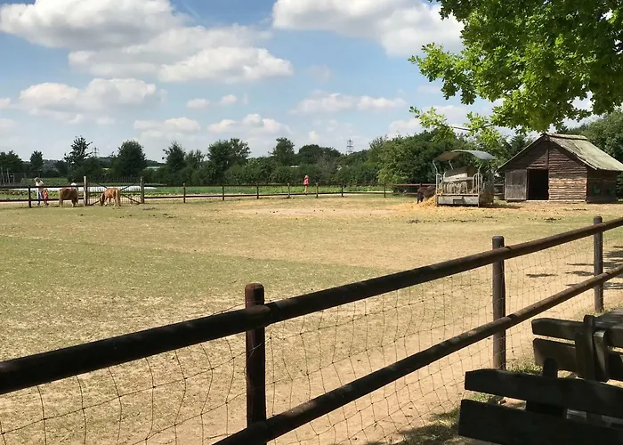 招待所 Apartotel Koeln 3*