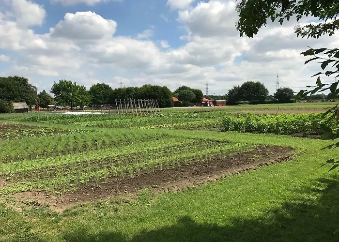 Apartotel Koeln 招待所 3*