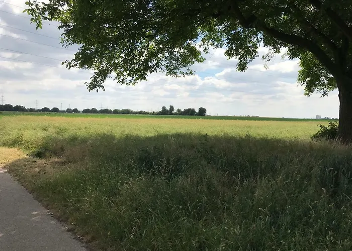 Apartotel Koeln 3* 弗雷兴